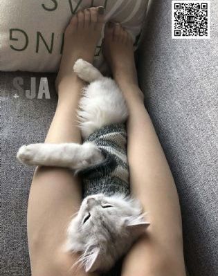 守望幸福电视剧全集免费观看